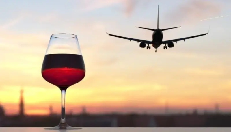 Can I Bring Canned Sardines and Port Wine on a Plane? Customs & Security Guide (2026)
